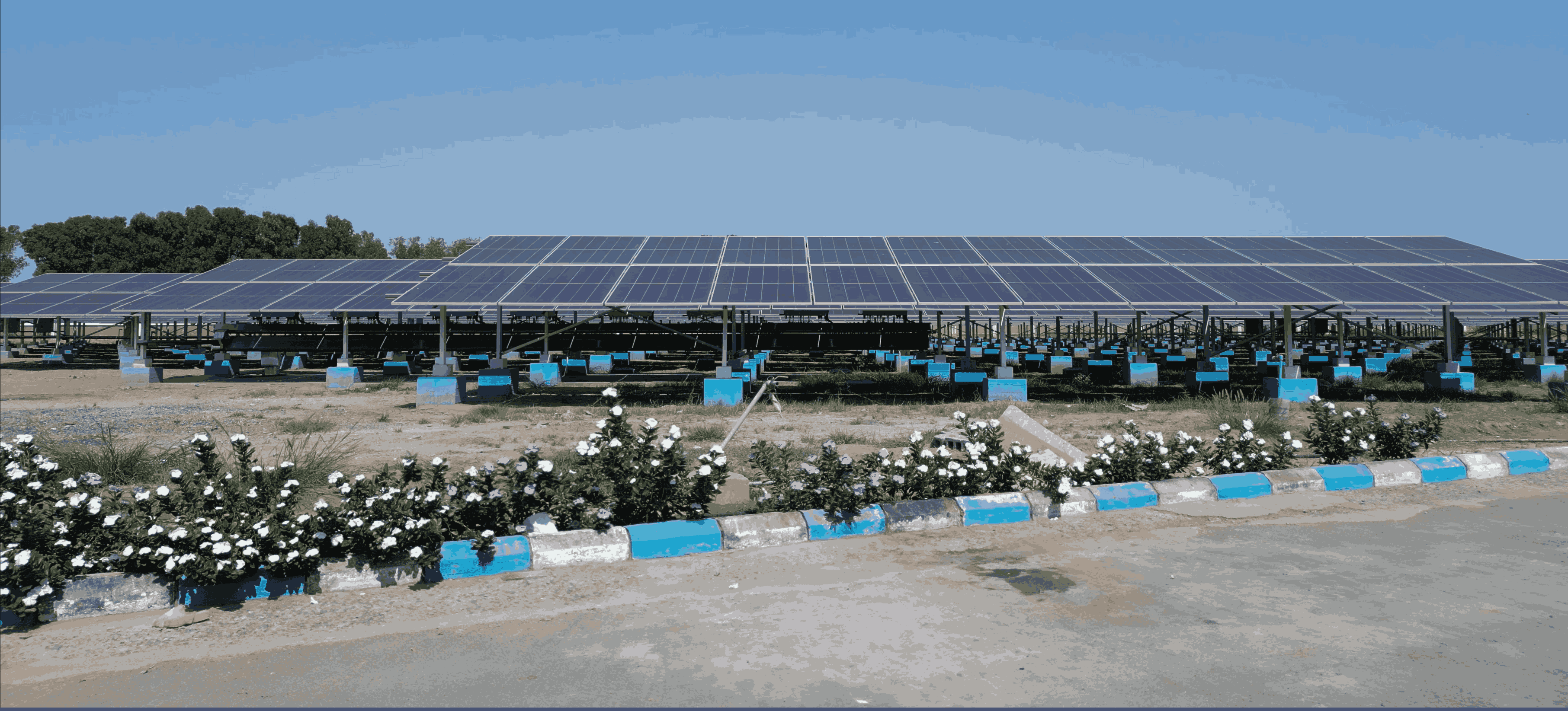 Agricultural Ground-Mount Solar System